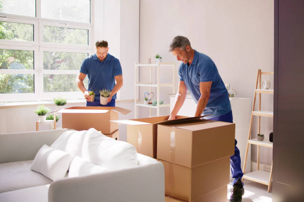 About Amit International Packers & Movers